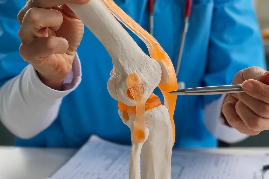 Doctor shows anatomy of structure of human knee joint concept